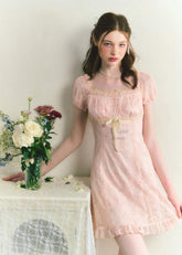 Butterfly Lace Chinese Style Mini Dress